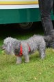 MCE Sommertreffen 2016 - 091